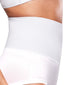 Lavender Control panty 78191