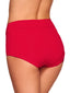 Firebrick Microfiber Smoothing High Rise Brief Panty 1551